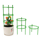 Plastic Plant Support Stakes for Flowers and Greenhouses