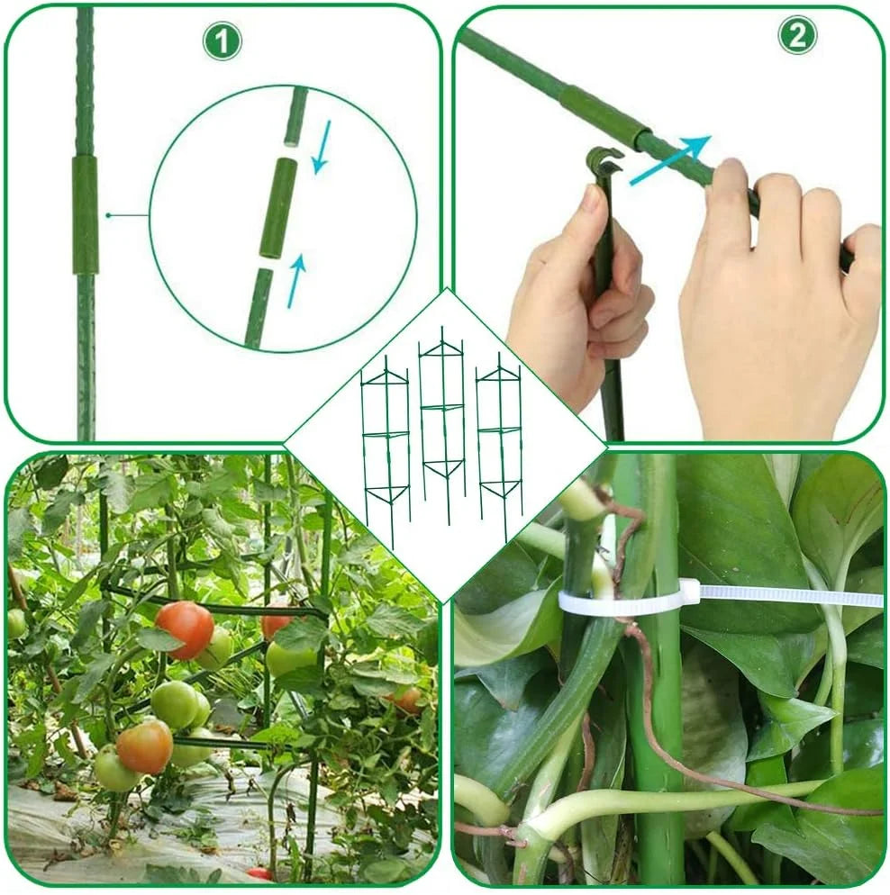 Metal Tomato Cage, Up to 129.5 cm (51 in)