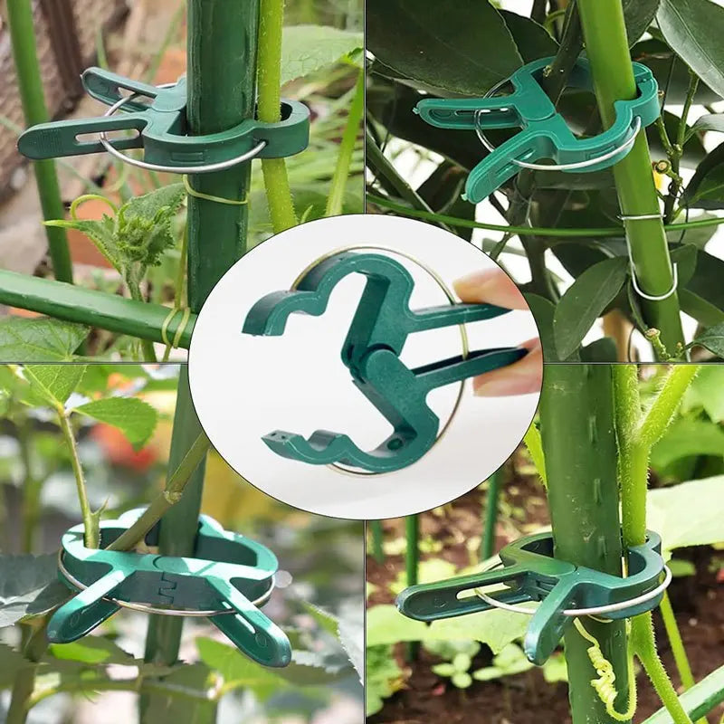 20Pcs Plant Fixed Clips Reusable Garden  Greenhouse Bracket for Fixed Plants Vine Flower  Seedling Stem Suppor t Garden Supplies