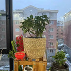 1Pcs Mini/S/M/L Grass Woven Flowerpot For Garden Terraces Small Plant Flower Basket Seedling Containers Planter Basket