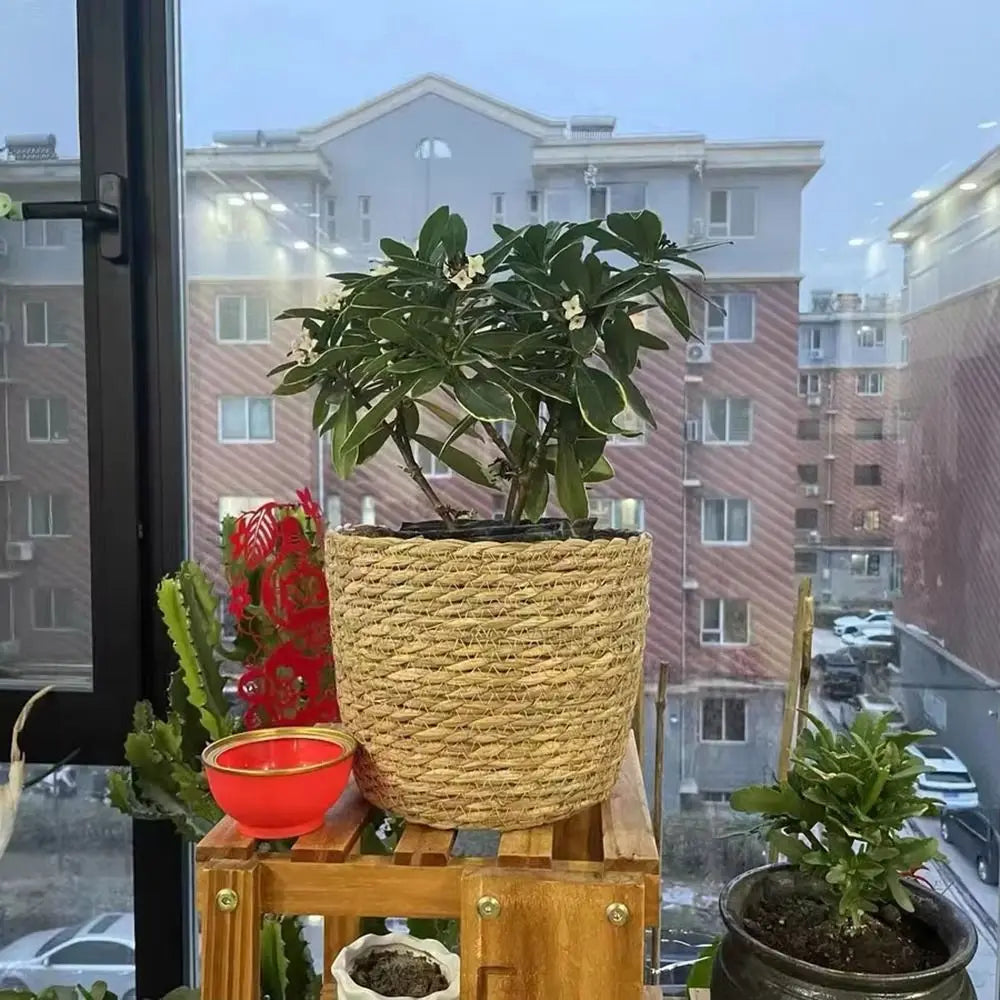 1Pcs Mini/S/M/L Grass Woven Flowerpot For Garden Terraces Small Plant Flower Basket Seedling Containers Planter Basket