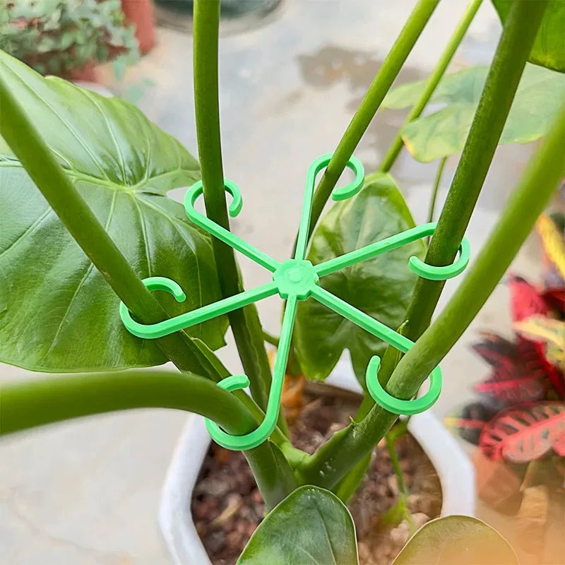 Plant Stem Support Stakes, 4-Piece Indoor Plant Supports