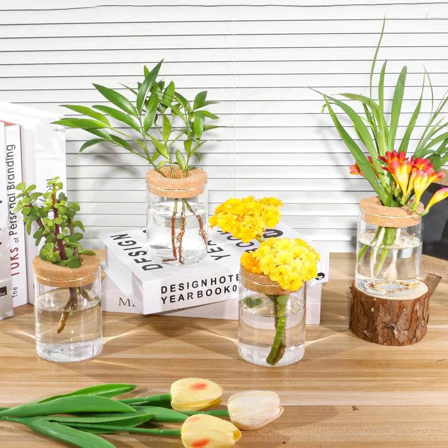 Plant Propagation Station,Hydroponic Acrylic Container Vase Planter Jars for Desks, Houses, Home Garden Decorations and Gifts