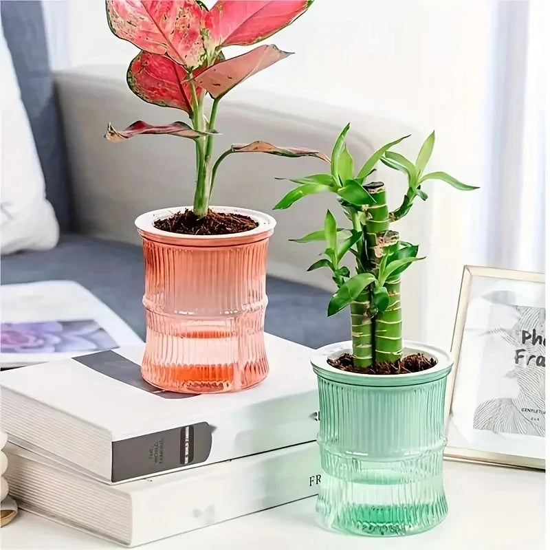 Transparent Double Layer Self Watering Planter Lazy Hydroponic Flower Pot Office Plastic Plant Container