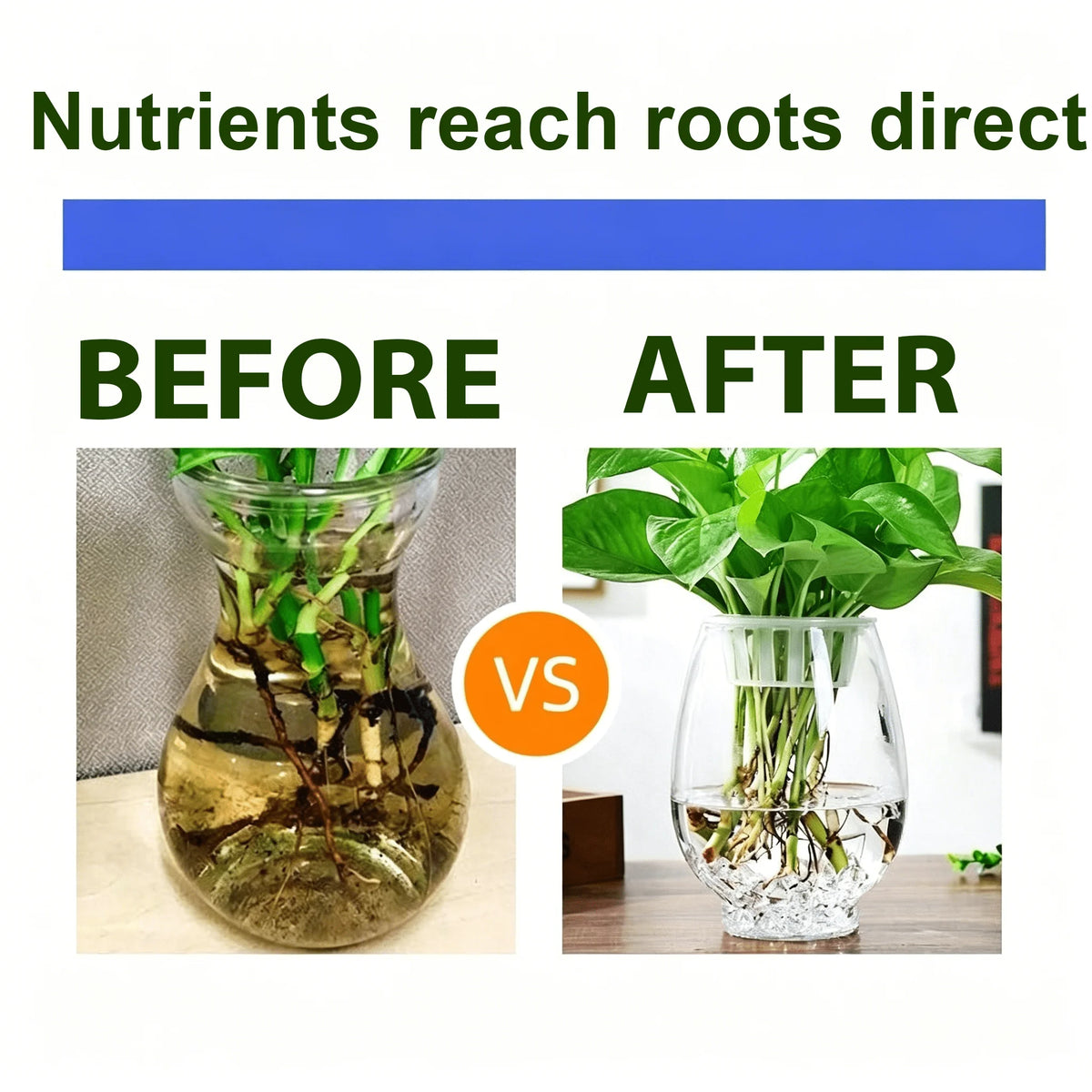 Plant Rooting Promoter Germination Kit｜Nourishes Seedlings and Strengthens Roots, Promotes Plant Germination, Improves Yellowing of Leaves, Accelerates Rapid Rooting, Enhances Root Vitality, Reduces Transplant Stress, Suita