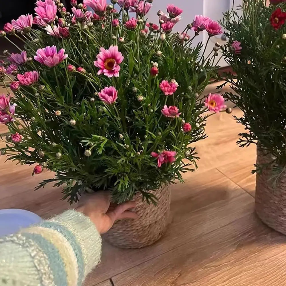 1Pcs Mini/S/M/L Grass Woven Flowerpot For Garden Terraces Small Plant Flower Basket Seedling Containers Planter Basket