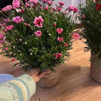 1Pcs Mini/S/M/L Grass Woven Flowerpot For Garden Terraces Small Plant Flower Basket Seedling Containers Planter Basket
