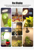 LED Plant Supplementary Light E27 Greenhouse Seedling 85-265V Grow Lamp And Succulent Light Bulb Full Spectrum Imitation Of Sun