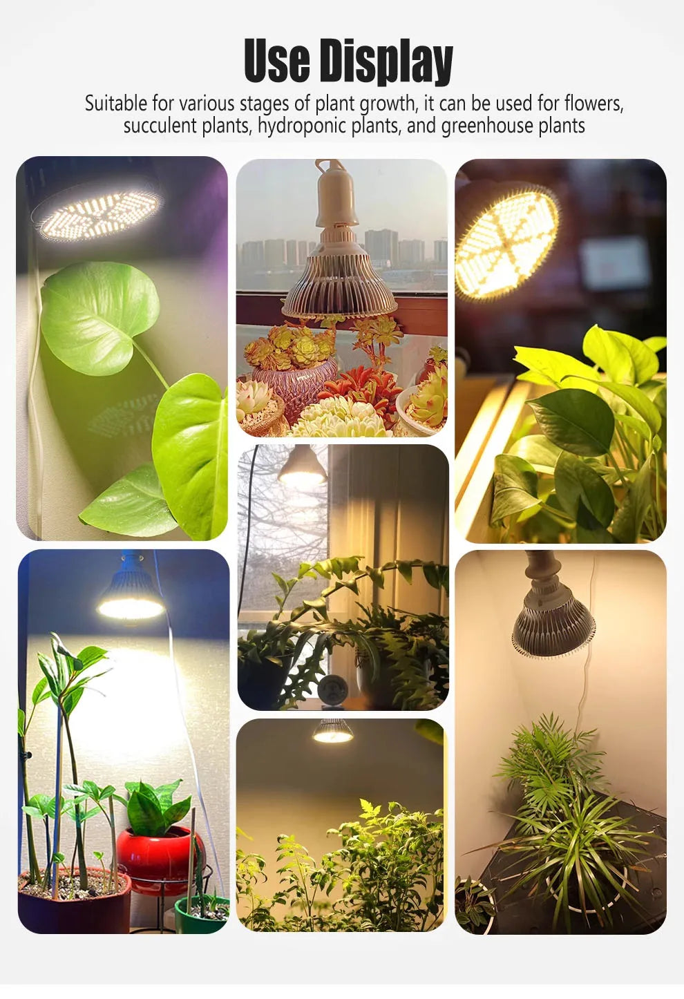 LED Plant Supplementary Light E27 Greenhouse Seedling 85-265V Grow Lamp And Succulent Light Bulb Full Spectrum Imitation Of Sun