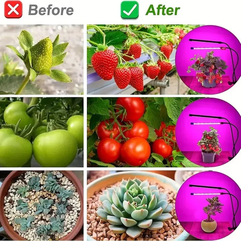 USB LED Plant Grow Light Indoor Garden 10 Dimmable Levels Grow Light Full Spectrum Timer Setting Hydroponic Greenhouse 3H/9H/12H