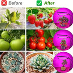 USB LED Plant Grow Light Indoor Garden 10 Dimmable Levels Grow Light Full Spectrum Timer Setting Hydroponic Greenhouse 3H/9H/12H
