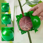 Plant Rooting Ball Gardening Supplies High Pressure Propagation Root Growing Box Cutting Grafting Ball Breeding Equipment TMZ