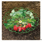5/10pcs Strawberry Plant Supports with Three Sturdy Legs Provide Protection for Strawberries Against Mold, Rot, and Dirt