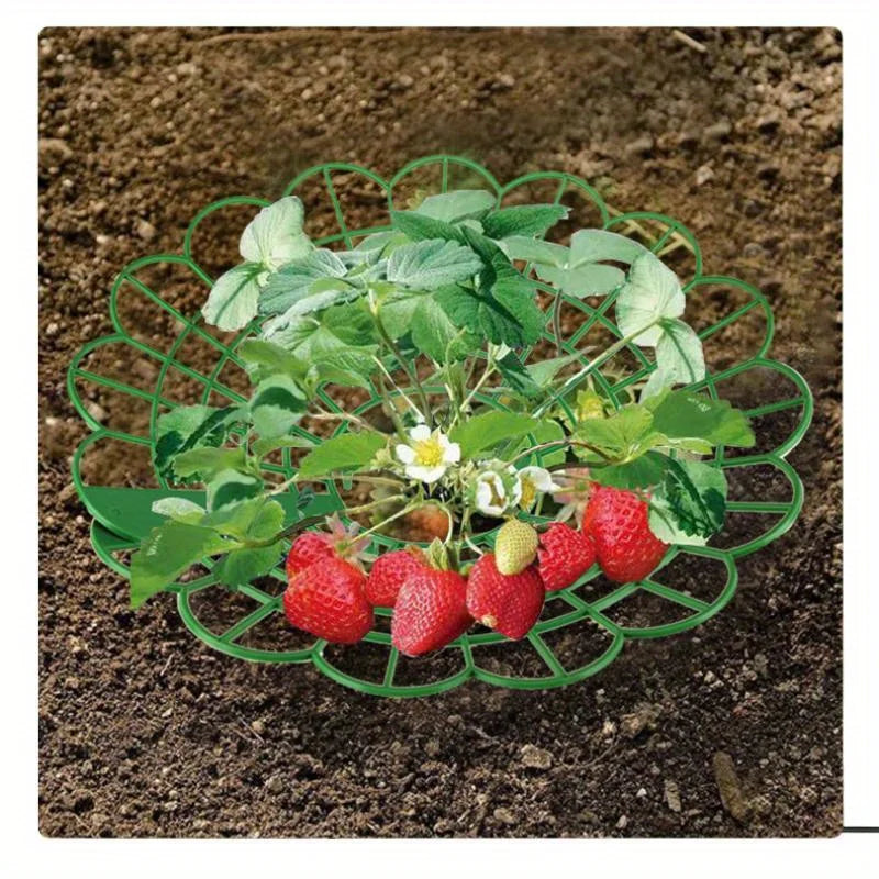 5/10pcs Strawberry Plant Supports with Three Sturdy Legs Provide Protection for Strawberries Against Mold, Rot, and Dirt