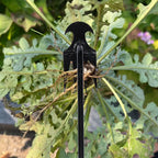 Garden Hoe Agricultural Supplies Weeds Tool Gardening Tools Utensils Hand Herbicide Weed Teacher Farming Farm Accessories