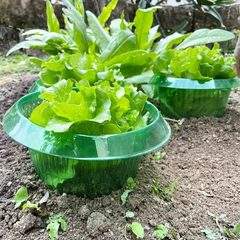 Plants Slug Protection Rings Vegetables Cover Plant Snail Collar Guard Green Planter Flower Pot Pest Control Trapper Garden Tool