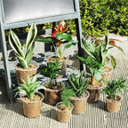 5pcs Home Garden Round Planter Pot Orchid Nursery Container Planter Container Transparent Orchid Container Round Starting Pot