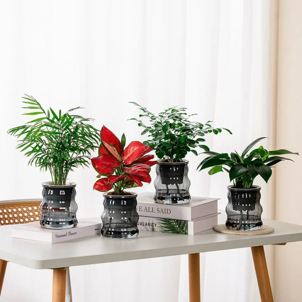 Creative Self Watering Hydroponic Plants Pot Removable Plastic Flowerpot Transparent Mini Succulent Planter Tabletop Vase