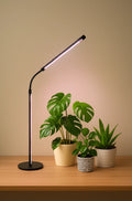 LED Grow Light for Indoor Plants, Adjustable Gooseneck Plant Lamp with Full Spectrum Beads, Strong Beam, Timer and Dimmable Mode