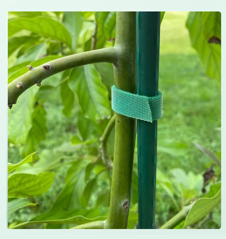 10m Reusable Nylon Plant Ties Green Garden Plant Bandage Cable Ties Self Adhesive Plant Fastener Tape for Plants Garden Home