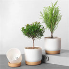 Round Green Plant Garden Supply Self Watering Flower Pot With Drainage Hole Orchid Pots Flower Containers Indoor