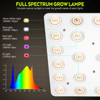 LED Grow Light 500W 600W 800W 1000W Diode Full Spectrum Silent Quantum Board Used for Greenhouse Tent Hydroponic Plant