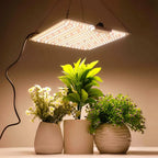 LED Grow Light 500W 600W 800W 1000W Diode Full Spectrum Silent Quantum Board Used for Greenhouse Tent Hydroponic Plant