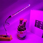 Portable USB LED grow light bar with a flexible neck illuminating a potted cactus in vibrant pink and blue light.