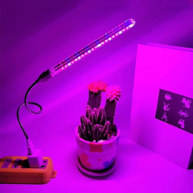 Portable USB LED grow light bar with a flexible neck illuminating a potted cactus in vibrant pink and blue light.