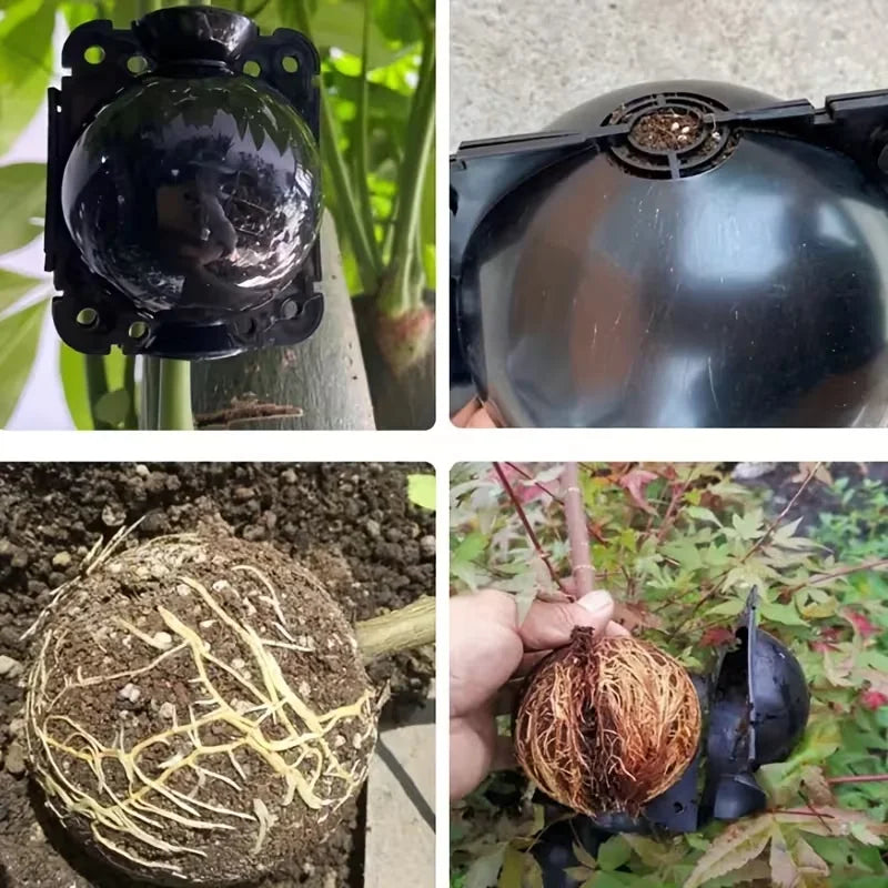 12pcs Plant Root Growing Box Propagation Reusable Rooting Grafting Breeding Seedling Garden Plant Rooting Ball Garden Supplies