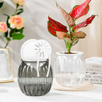 Clear Self Watering Planters Pots Modern Transparent Plants Care Pots for Garden Enthusiast Lover Gift