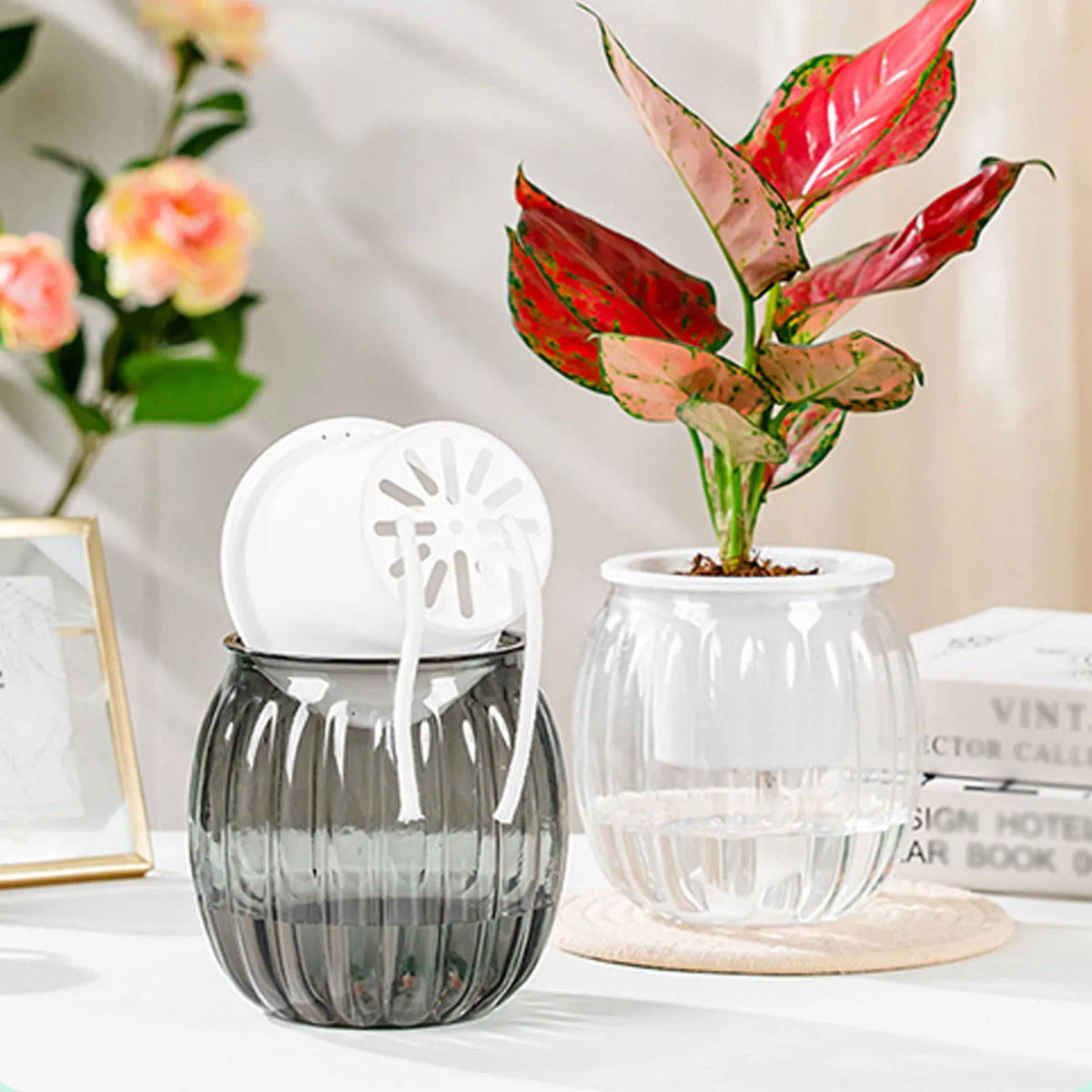 Clear Self Watering Planters Pots Modern Transparent Plants Care Pots for Garden Enthusiast Lover Gift