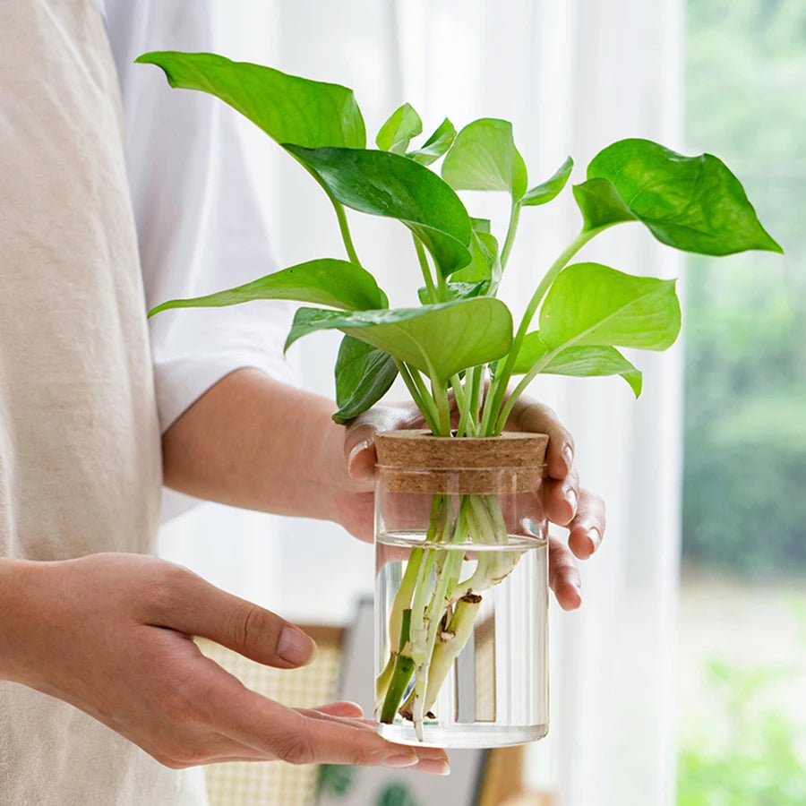 Plant Propagation Station,Hydroponic Acrylic Container Vase Planter Jars for Desks, Houses, Home Garden Decorations and Gifts