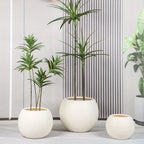 Indoor Outdoor Round Flower Pots, Lightweight Unbreakable Plastic Planters for Garden,  Balcony & Home Flower Planting