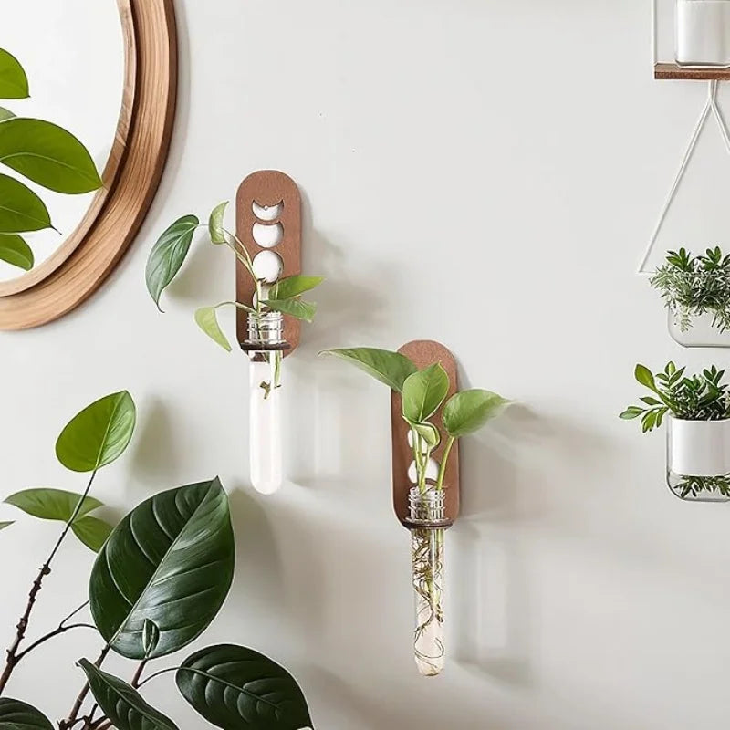 Plant Propagation Station Wall Hanging Wooden Moon Phase Plant Terrarium for Hydroponics Home Office Decor Air Plant Holder Gift