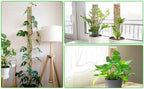 Plants Moss Pole Garden Subject Flower Plant Climbers Bonsai Accessories Pots Tutors ,for Planters Plants Growth Holder Support