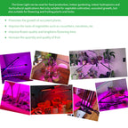 USB LED Plant Grow Light Indoor Garden 10 Dimmable Levels Grow Light Full Spectrum Timer Setting Hydroponic Greenhouse 3H/9H/12H