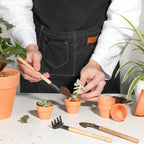 16 Pcs 1.8'' Terra Cotta Pots Pottery Planter Cactus Flower Pots Succulent Pot with Drainage Hole- Great for Plants,Crafts