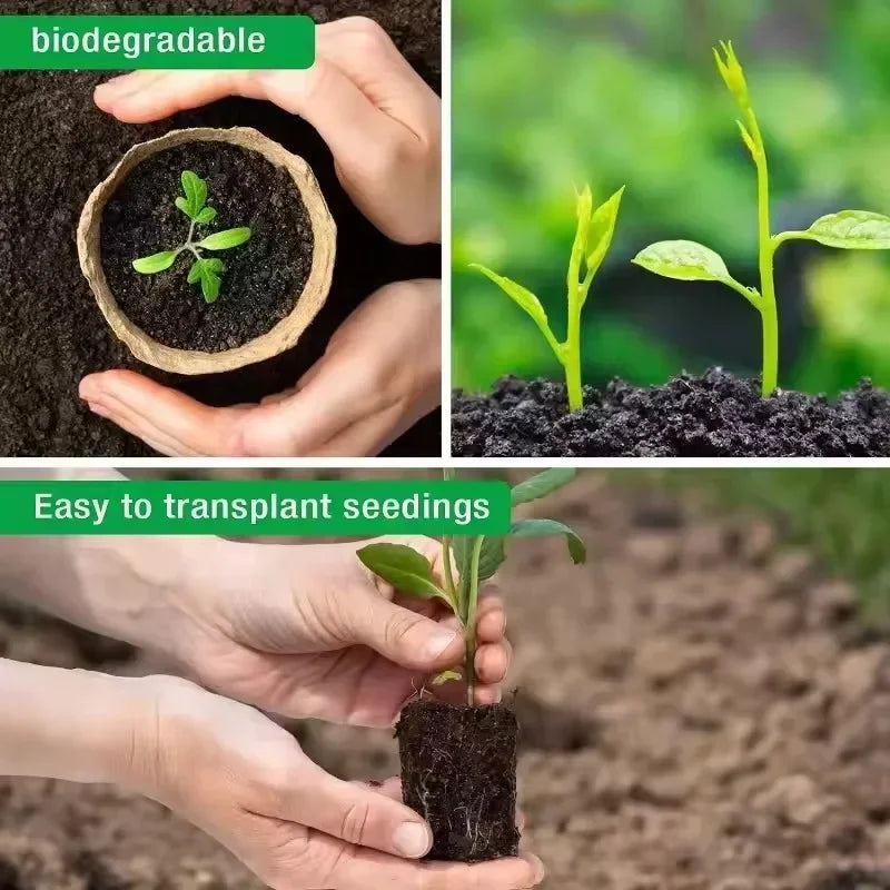 20-160PCS ﻿ 3.15 Inch Biodegradable Paper Pulp Seedling Starter Trays for Garden Planting Nursery Seed Germination Transplanting