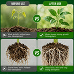 Plant Rooting Promoter Germination Kit｜Nourishes Seedlings and Strengthens Roots, Promotes Plant Germination, Improves Yellowing of Leaves, Accelerates Rapid Rooting, Enhances Root Vitality, Reduces Transplant Stress, Suita