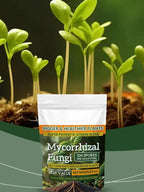 100g Plant Fertilizer Powder Plant Growth Nutrient Fertilizer Safe and Effective Rooting Supplement for Soil Culture Hydroponics