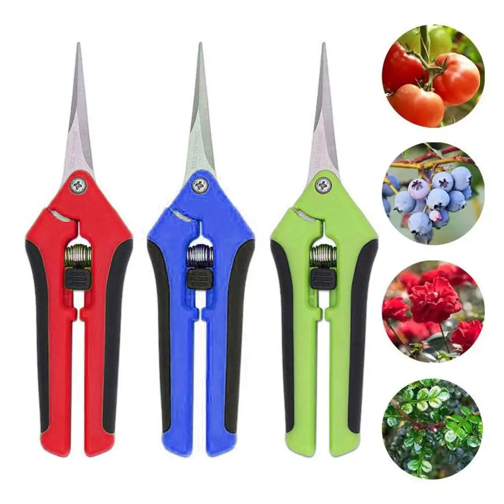 Fruit Picking Pruning Shears, Heavy-Duty Pruning Scissors, Garden Fruit Picking Shears, Specialized Grape Pruning Scissor