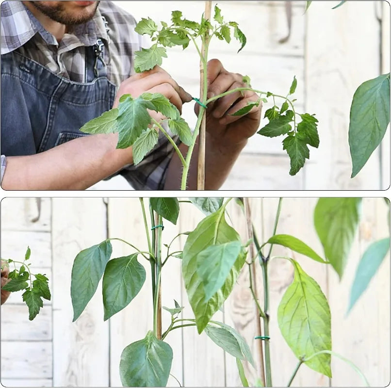 Garden Plant Twine Green Cable Ties Flexible Bendy Vine Support Twist Ties Reusable Plant Branches Rubber Coated Steel Wire