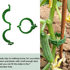 100 PCS Plant Support Clips Plastic Ties Trellis Stake Clips Garden Veggie Tomato Greenhouse Holder For Garden Tools Accessories