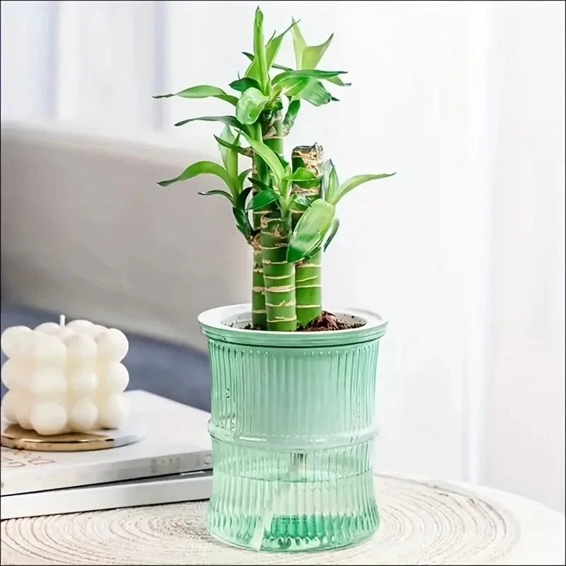 Transparent Double Layer Self Watering Planter Lazy Hydroponic Flower Pot Office Plastic Plant Container