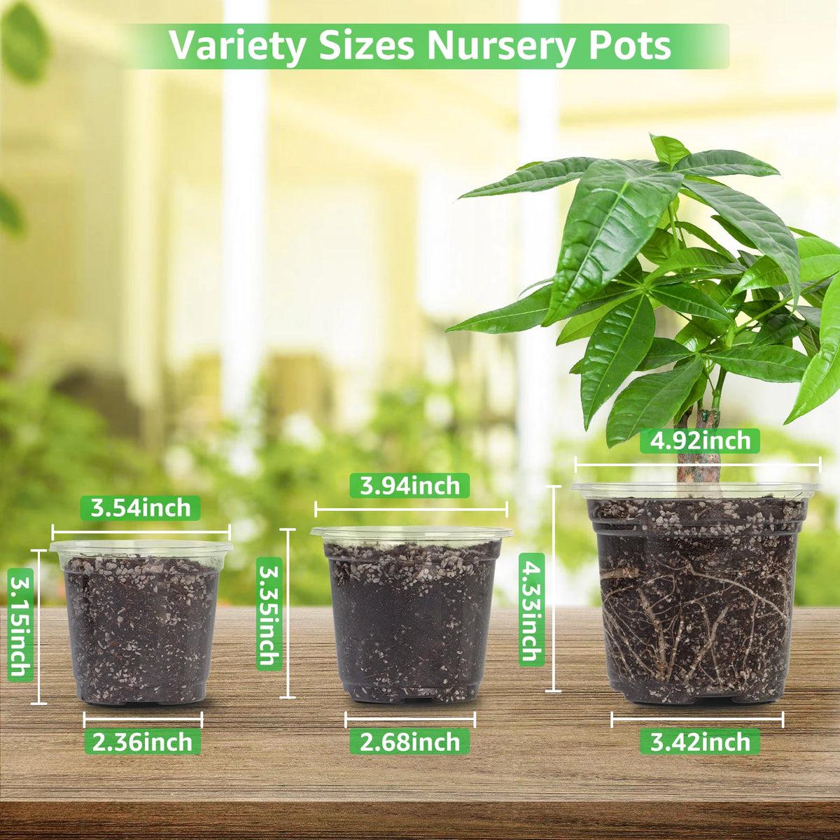30 Packs 3.5/4/5 Inch Clear Nursery Pots, Transparent Plastic Planter with Drainage Holes, Seed Starting Pot Flower Plant Contai