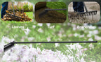 Garden Thatch Rake with 60 Inch Adjustable Long Handle,17 Inch Wide Heavy Duty Metal Bow Rakes for Gardening, Lawn Leveling