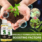 Rapid Plant Rooting Liquid Hormone Fast Propagation Solution Promote Strong Root Growth Fertilizer for Indoor Houseplants Care
