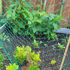 5/10M Garden Protect Netting Anti Birds Net Animals Deer Fencing Mesh for Fruits Trees Plants Stretch Durable Pest Barrier 그물망