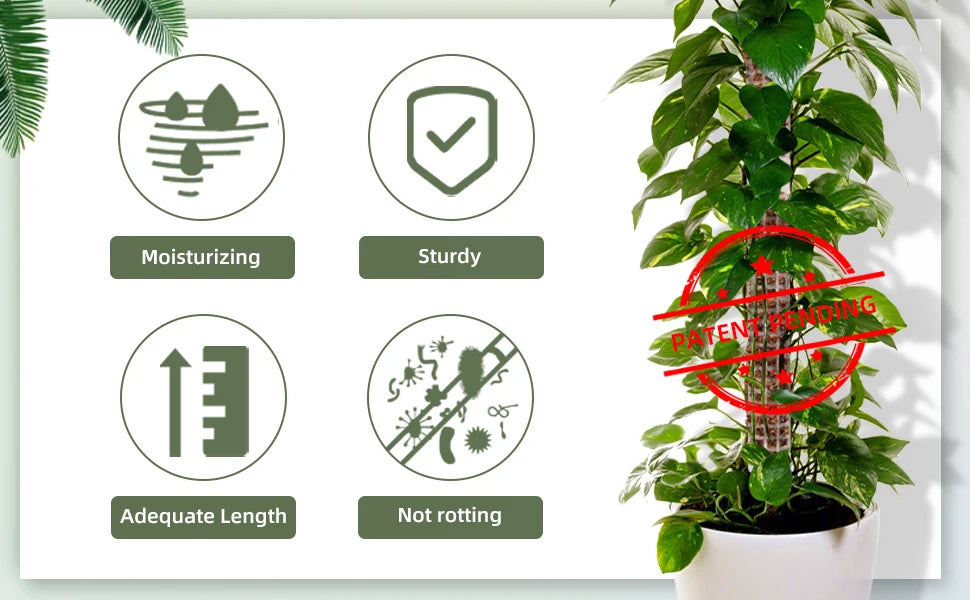 Plants Moss Pole Garden Subject Flower Plant Climbers Bonsai Accessories Pots Tutors ,for Planters Plants Growth Holder Support